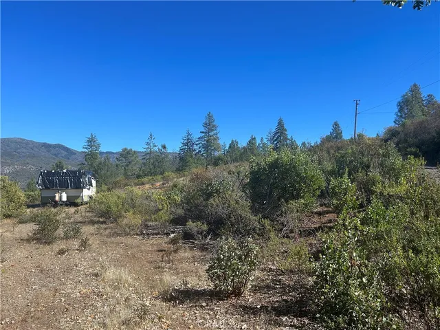 a view of a dry yard with large trees