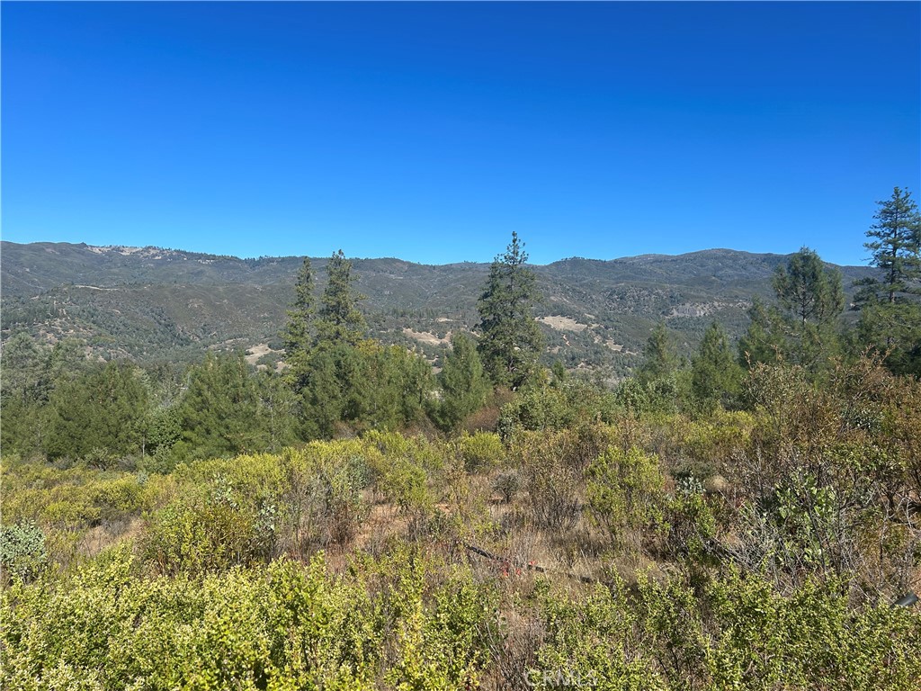 1725 Clover Valley Road Upper Lake, CA 95485 - Photo 12 of 14 a view of a mountain range with lush green forest