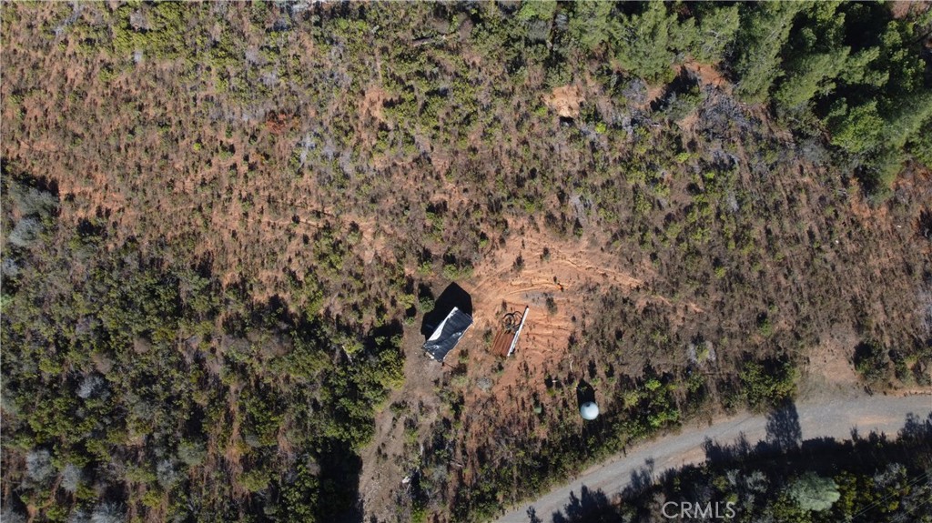 1725 Clover Valley Road Upper Lake, CA 95485 - Photo 4 of 14 a view of a tree