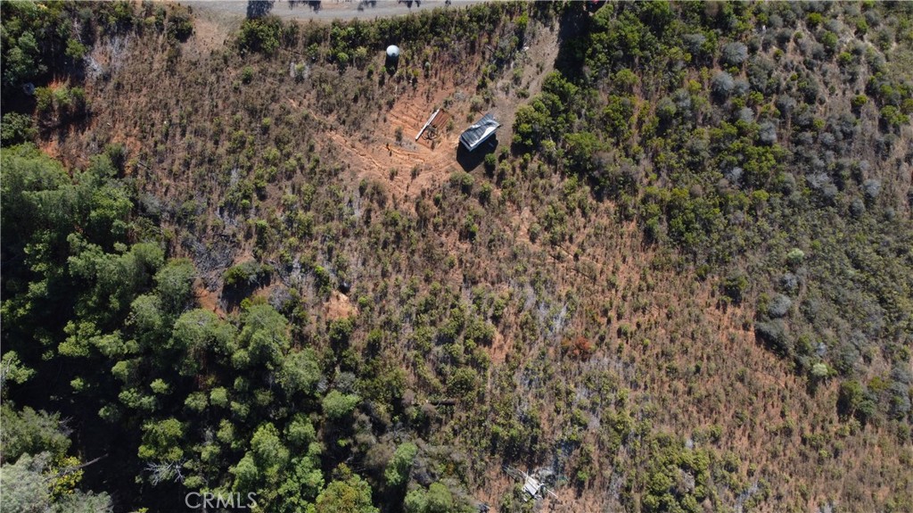 1725 Clover Valley Road Upper Lake, CA 95485 - Photo 5 of 14 a view of a tree
