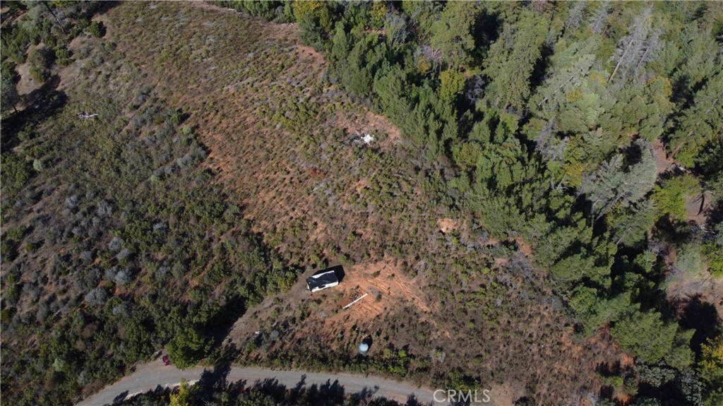 1725 Clover Valley Road Upper Lake, CA 95485 - Photo 6 of 14 a view of a forest with a tree