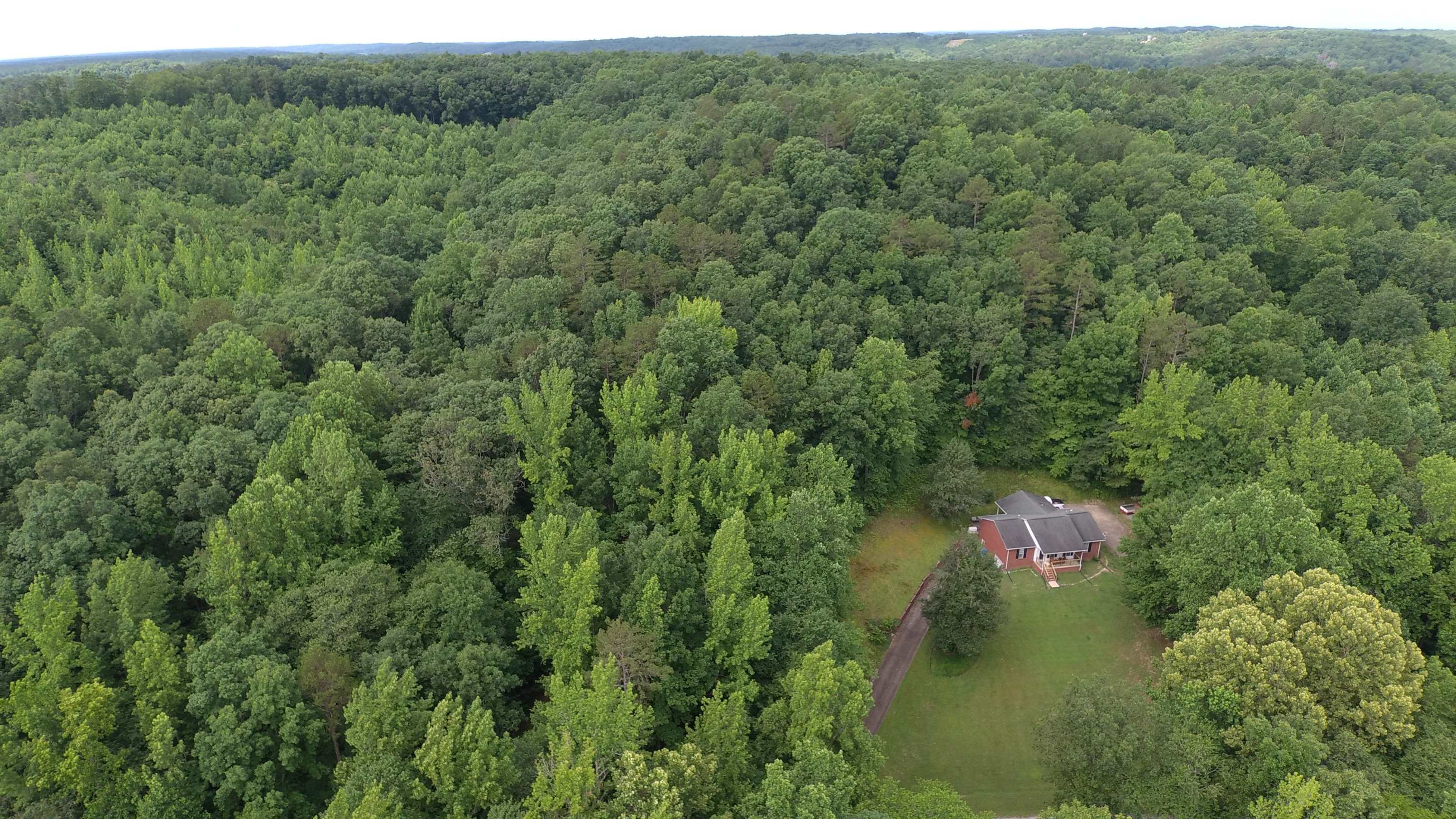 576 Carroll Hollow Road Waynesboro, TN 38485 - Photo 32 of 40 a view of a forest with a street