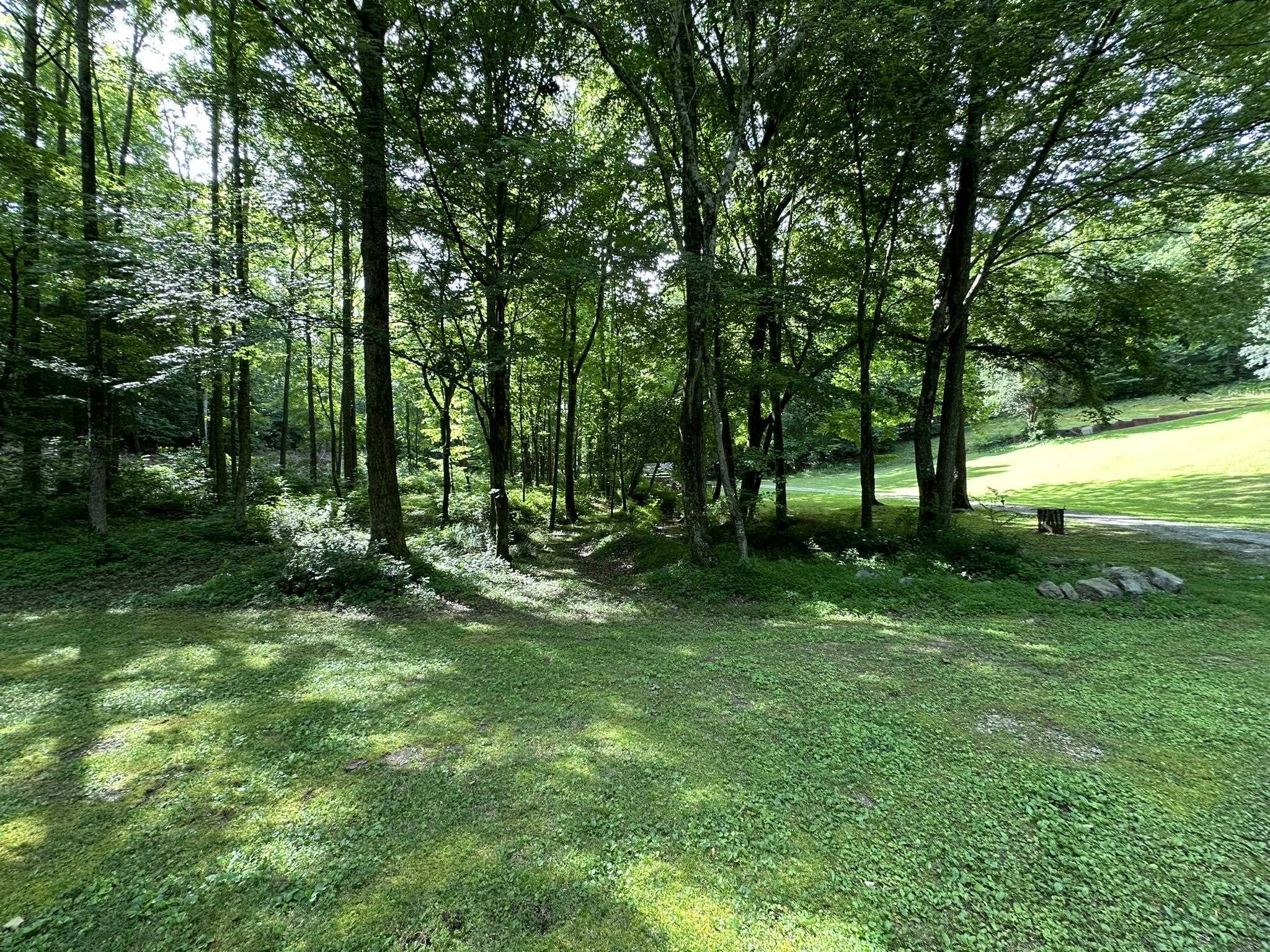 576 Carroll Hollow Road Waynesboro, TN 38485 - Photo 34 of 40 a view of outdoor space with green field and trees