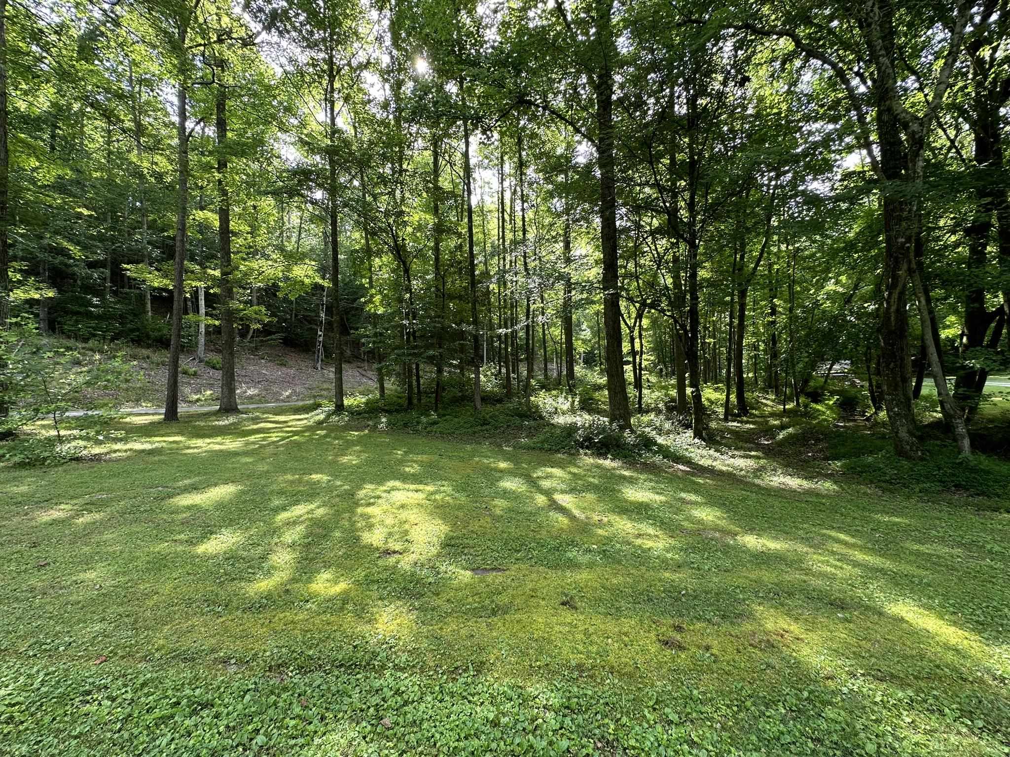576 Carroll Hollow Road Waynesboro, TN 38485 - Photo 35 of 40 a backyard of a house with lots of green space