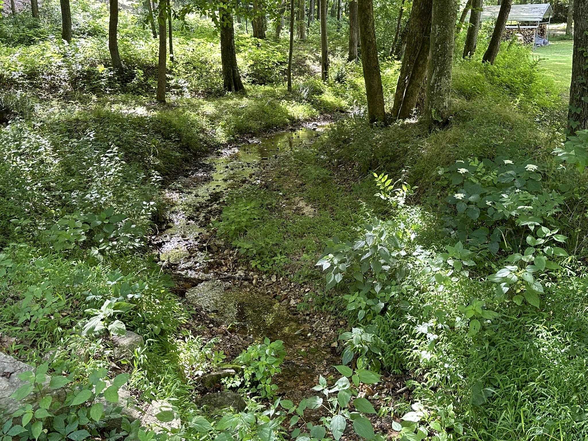 576 Carroll Hollow Road Waynesboro, TN 38485 - Photo 4 of 40 a view of a garden