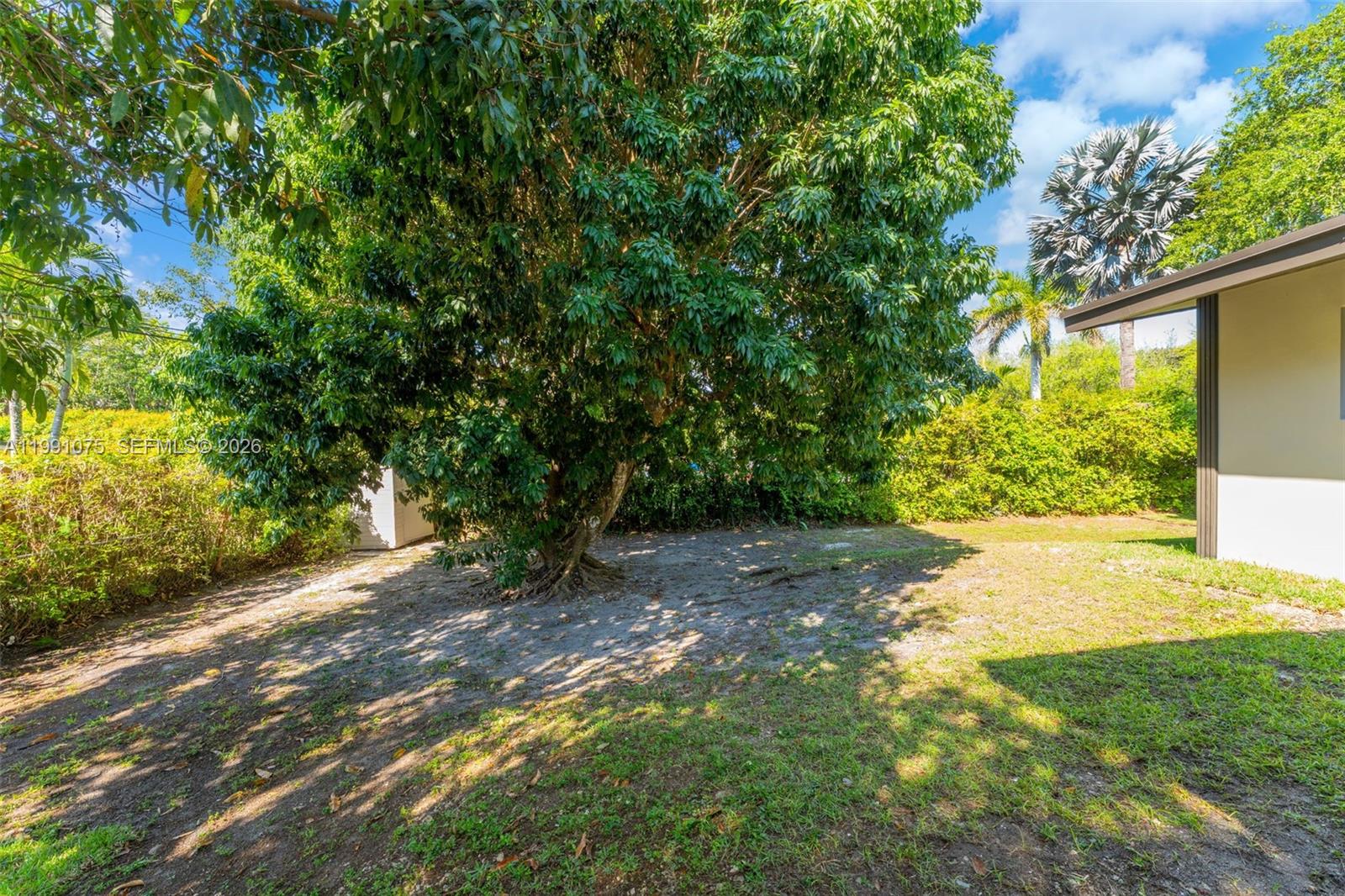 7920 Southwest 132nd Street Pinecrest, FL 33156 - Photo 38 of 45 a view of a yard with plants and large trees