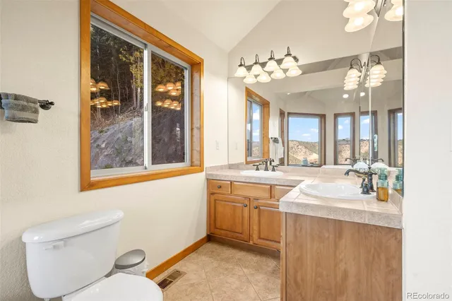 a bathroom with a toilet a sink and mirror