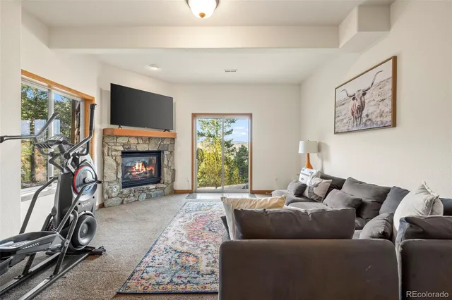 a living room with furniture a flat screen tv and a fireplace