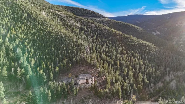 a view of a yard with a tree