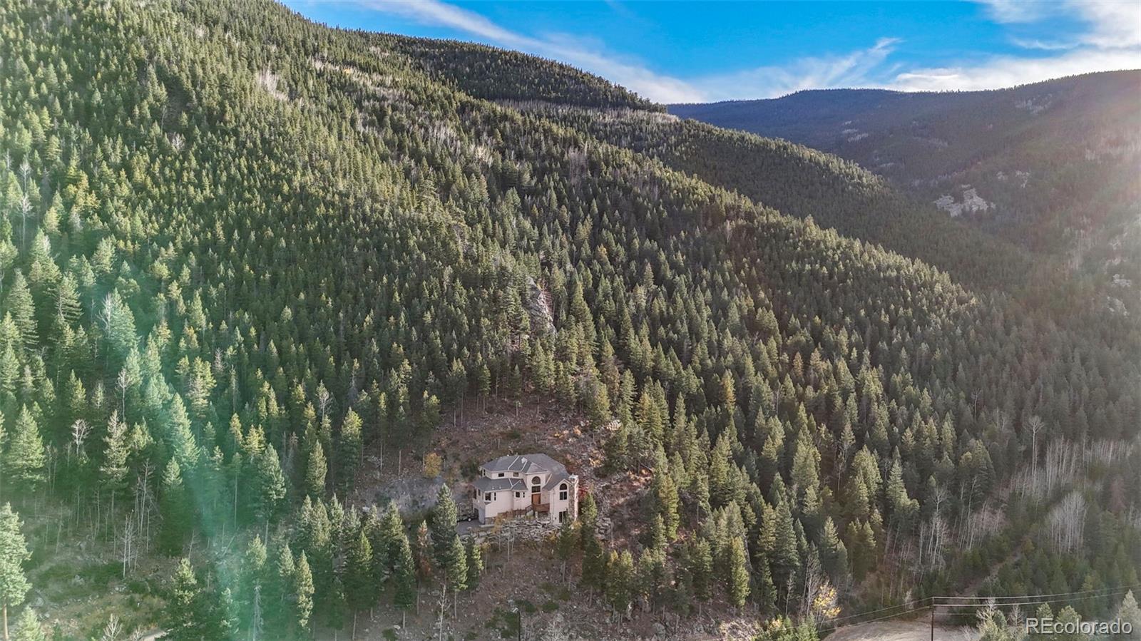 900 Sawmill Creek Road Evergreen, CO 80439 - Photo 5 of 50 a view of a yard with a tree
