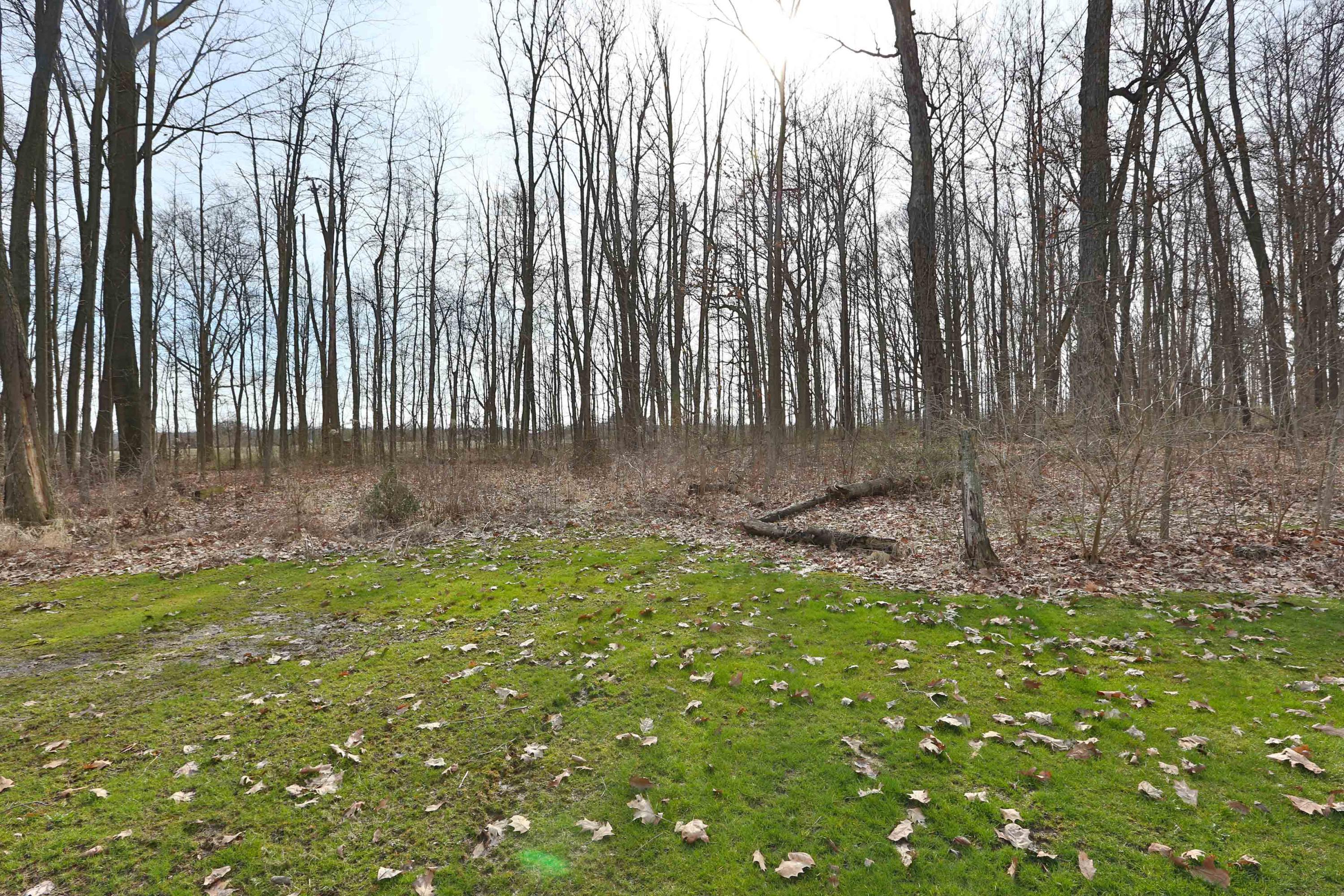 3015 Hills-Miller Road Delaware, OH 43015 - Photo 46 of 46 Gallery Image 46