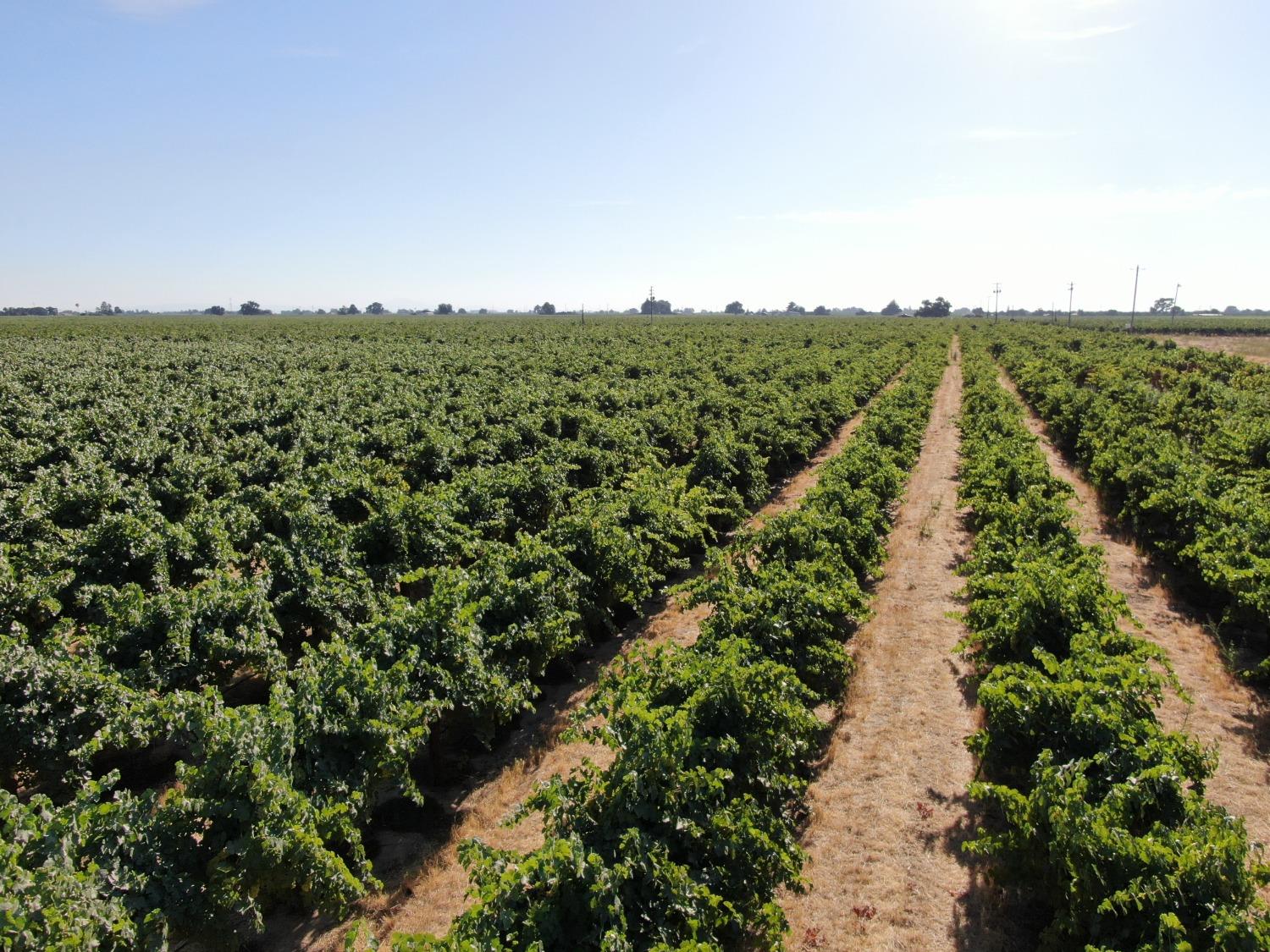 7437 East Kettleman Ln  