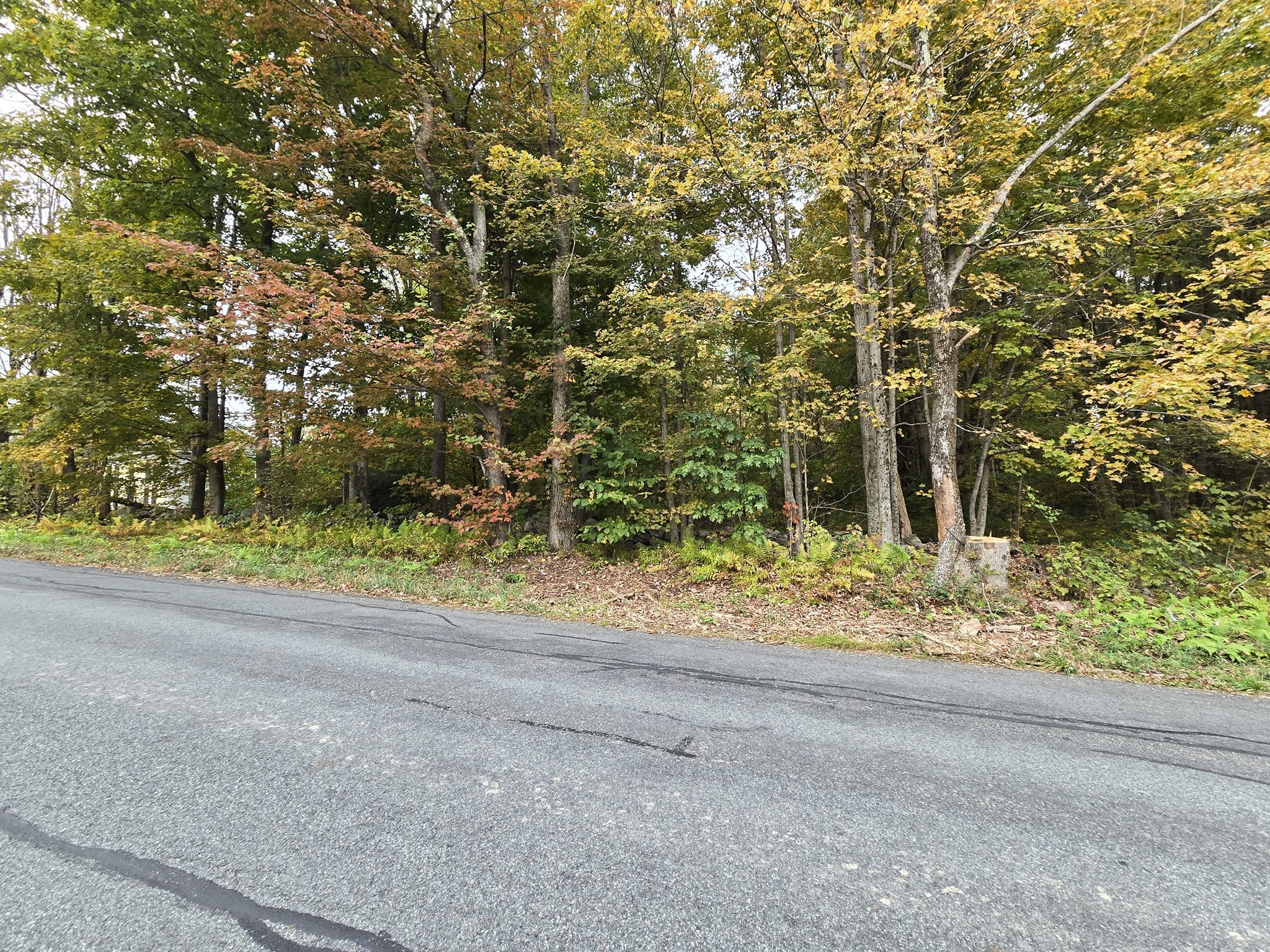 0 Barnard Road Granville, MA 01034 - Photo 2 of 6 Gallery Image 2