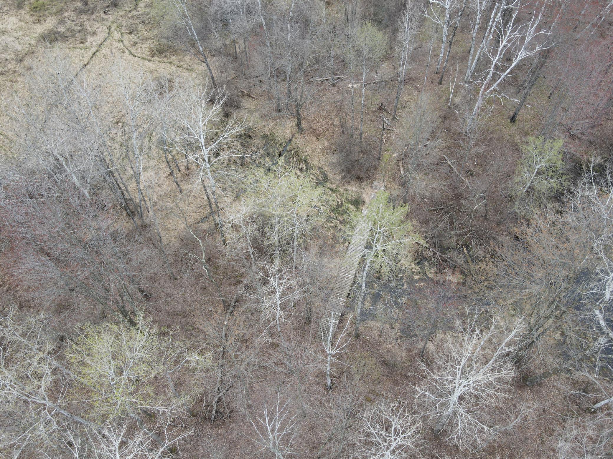 Tbd Silo Road Sarona, WI 54870 - Photo 16 of 19