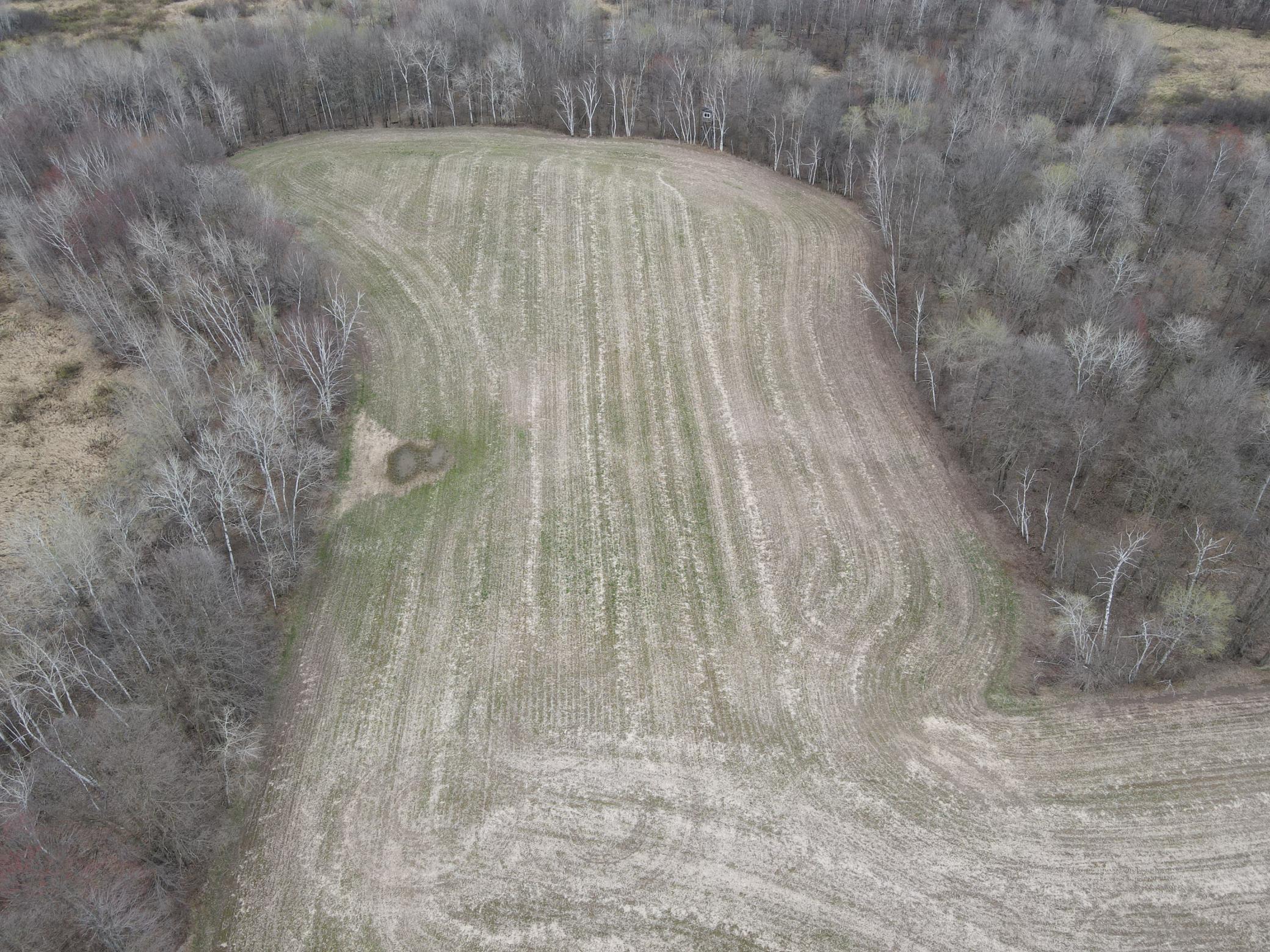 Tbd Silo Road Sarona, WI 54870 - Photo 18 of 19