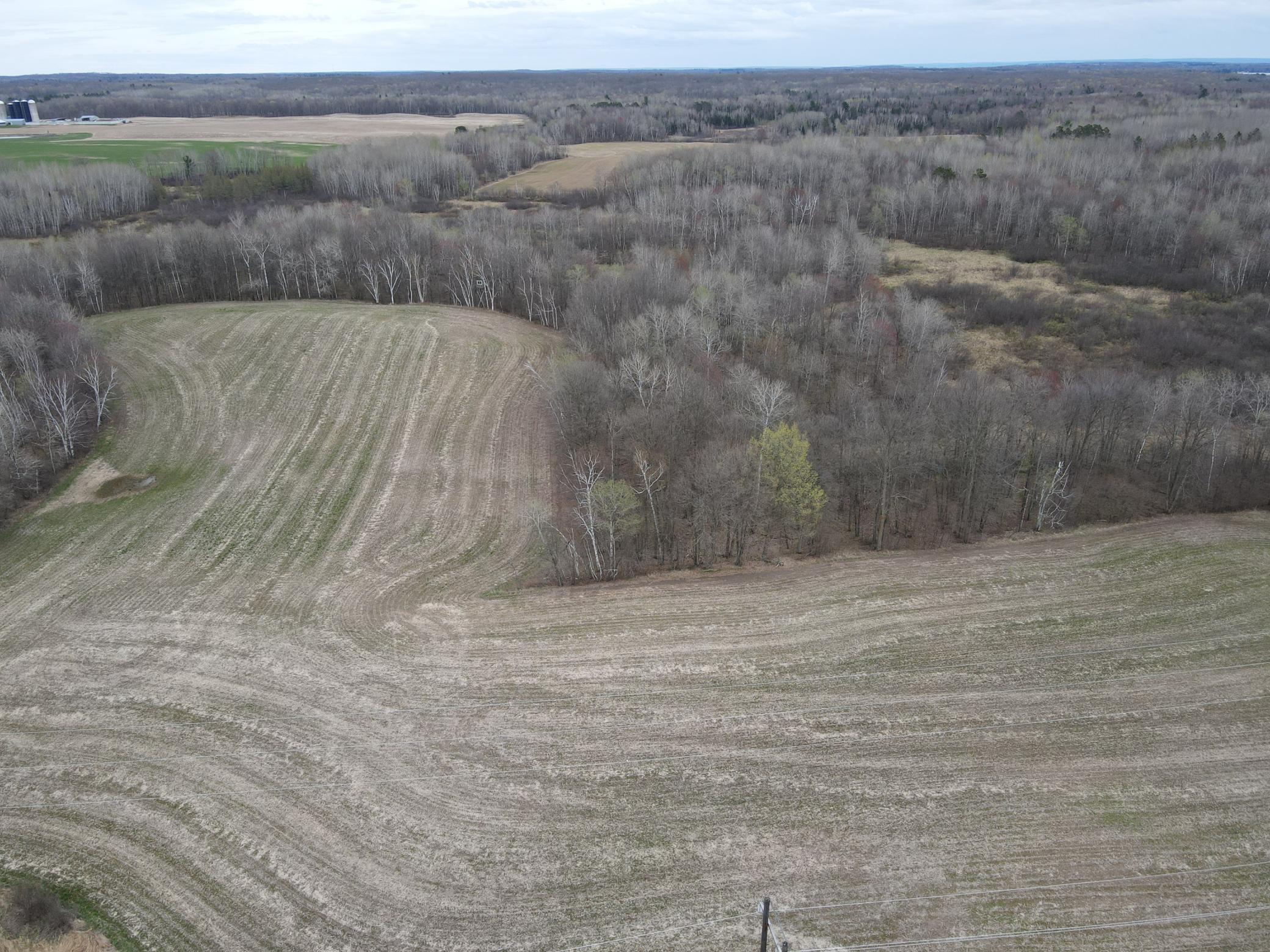 Tbd Silo Road Sarona, WI 54870 - Photo 6 of 19