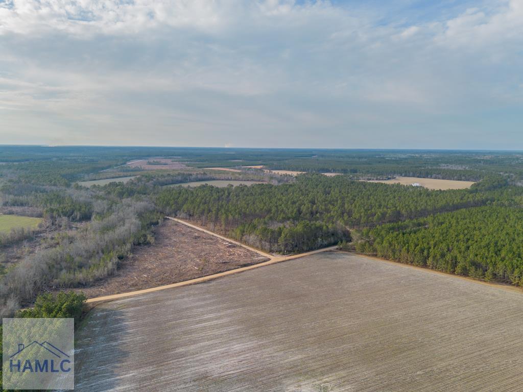 3 Reddish Road Screven, GA 31560 - Photo 1 of 55 Main View