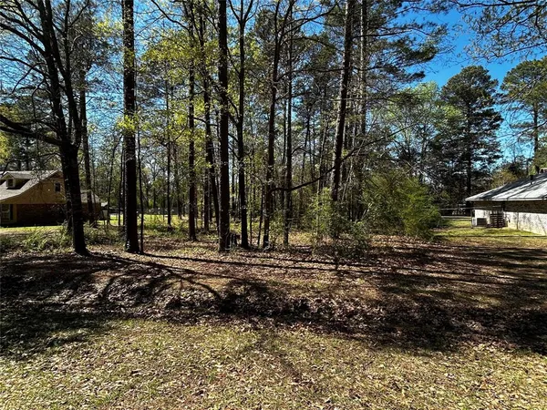a view of a backyard with large trees