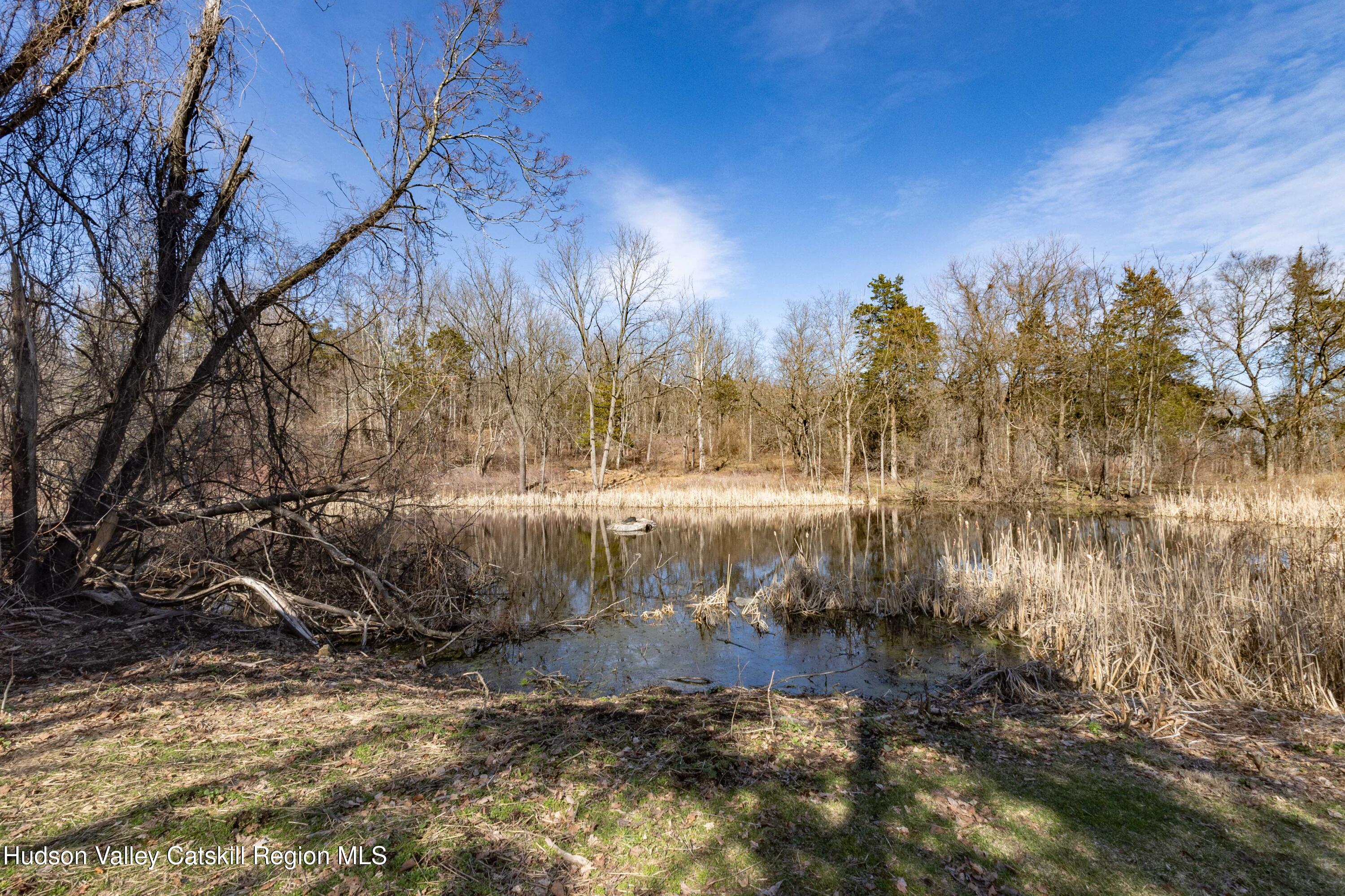 129 West Camp Church Road Saugerties, NY 12490 - Photo 23 of 27 5N9A5674