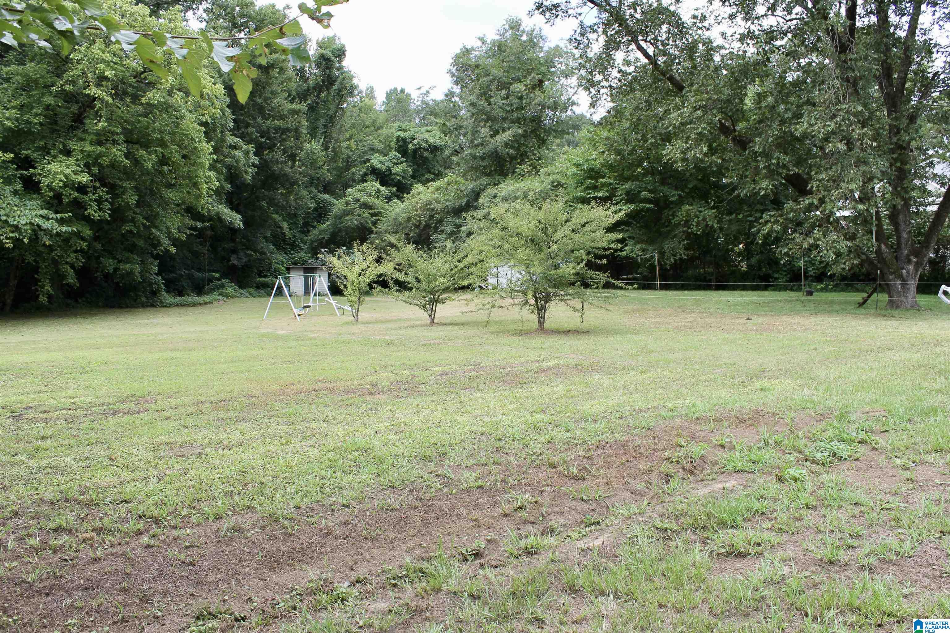 381 Old Ashville Road Ragland, AL 35131 - Photo 3 of 20