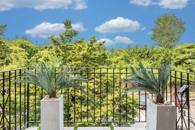 a close up of a flower in a garden