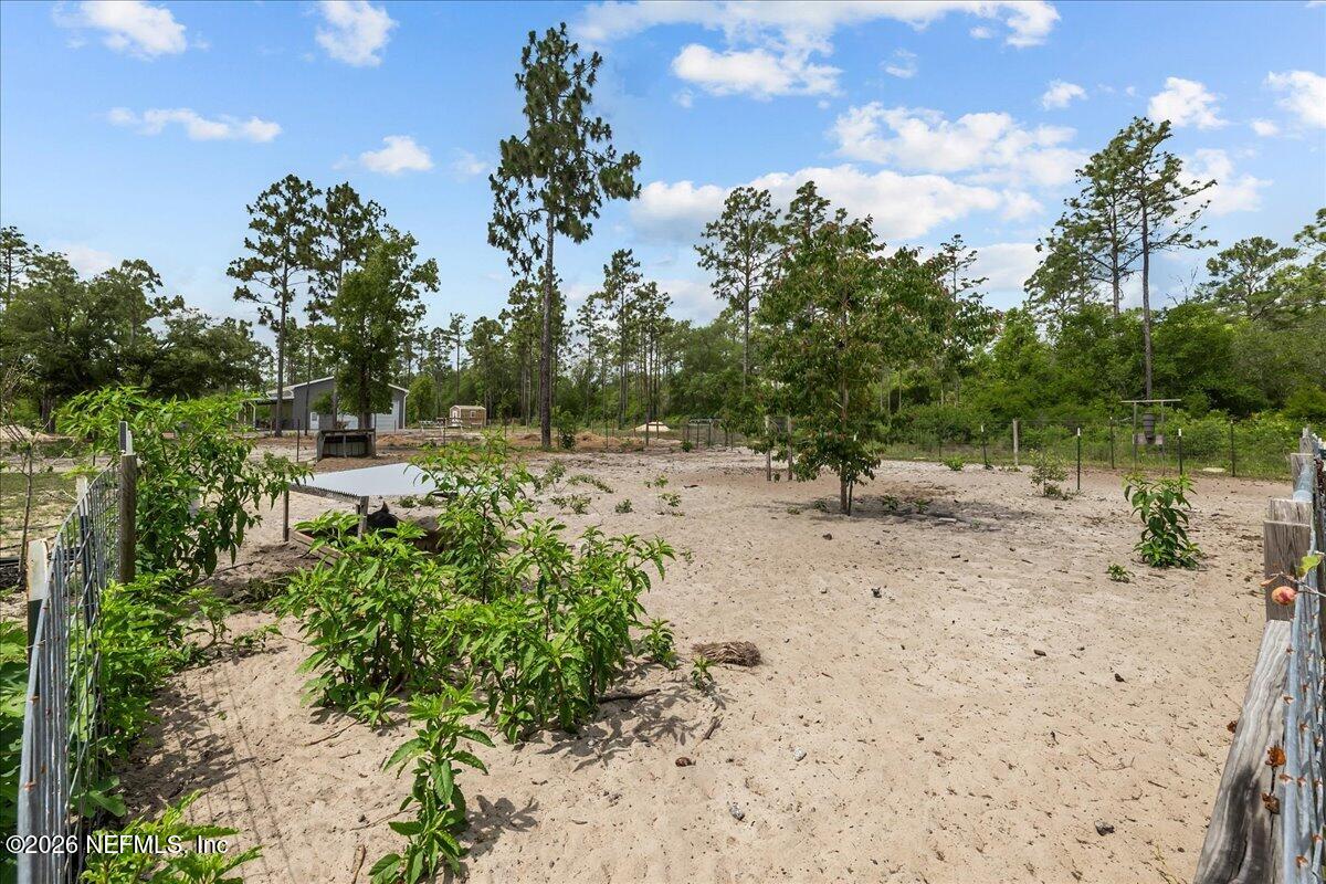 7914 Odom Rnch Trail Keystone Heights, FL 32656 - Photo 39 of 60 Pastures