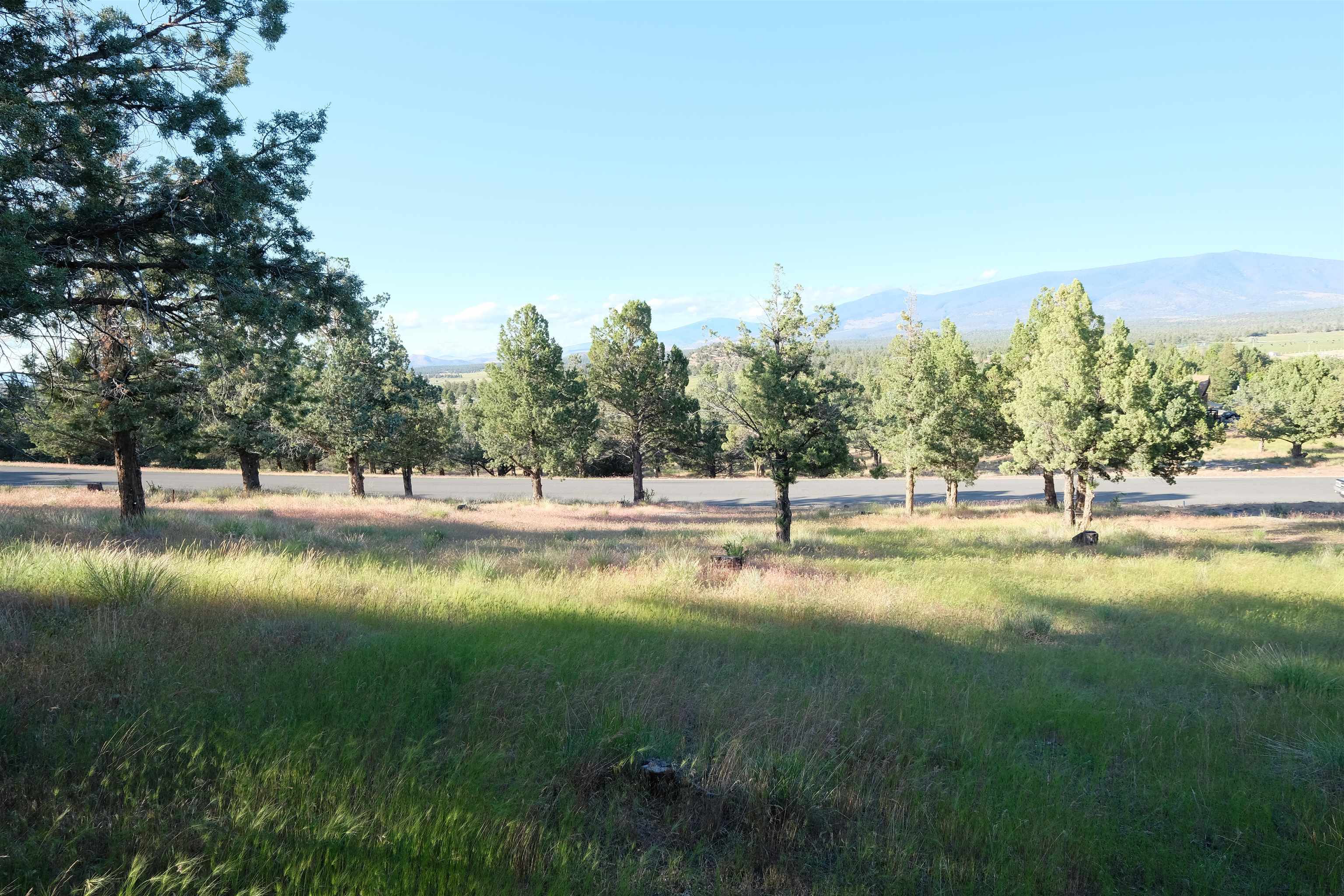 9-1 Unit Road Weed, CA 96094 - Photo 2 of 30 Gallery Image 2