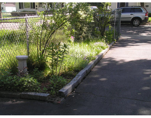 207 Prentice Street Springfield, MA 01104 - Photo 8 of 21 a view of street
