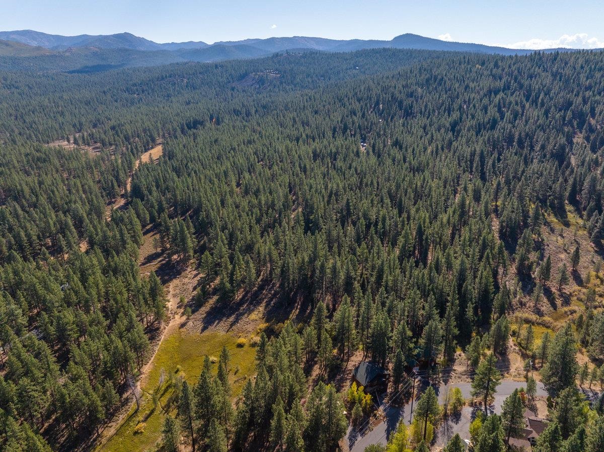 10794 Regency Circle Truckee, CA 96161 - Photo 6 of 11 a view of a lush green forest with trees in the background