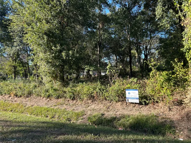 a view of a garden with a tree