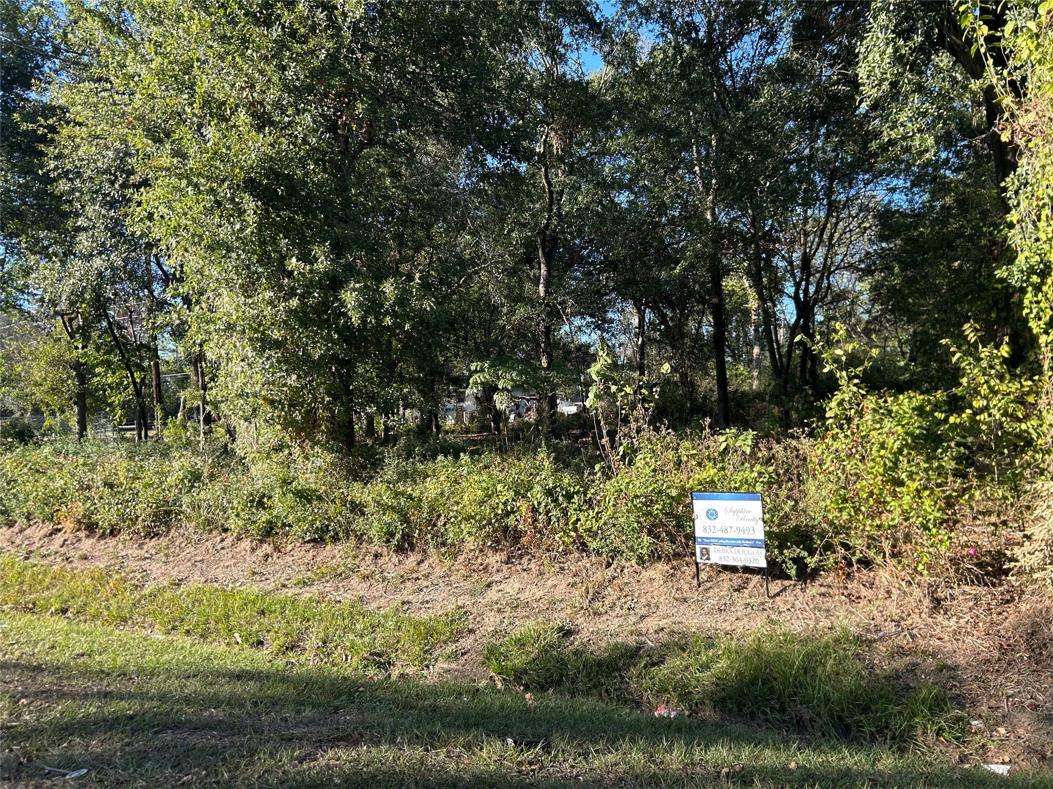 402 Wells Spring, TX 77373 - Photo 2 of 9 a view of a garden with a tree