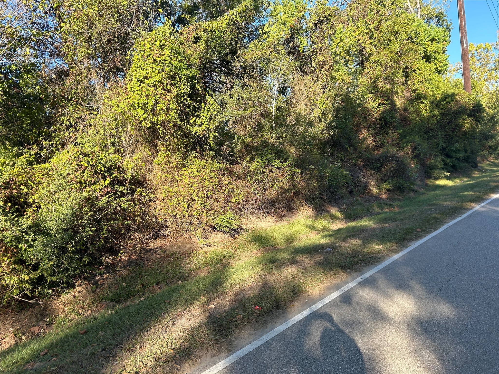 402 Wells Spring, TX 77373 - Photo 3 of 9 a view of yard from a window