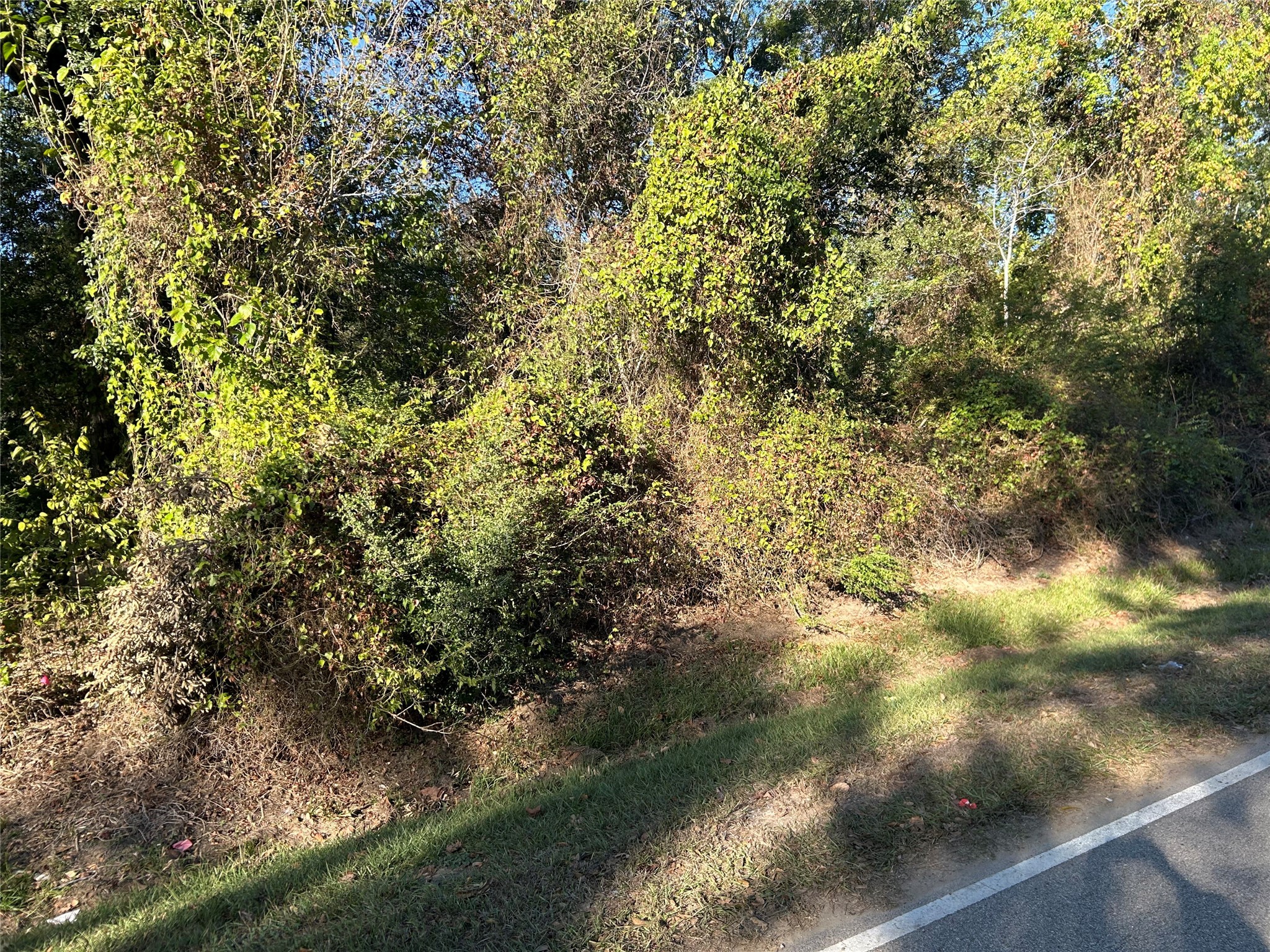 402 Wells Spring, TX 77373 - Photo 4 of 9 a view of a yard