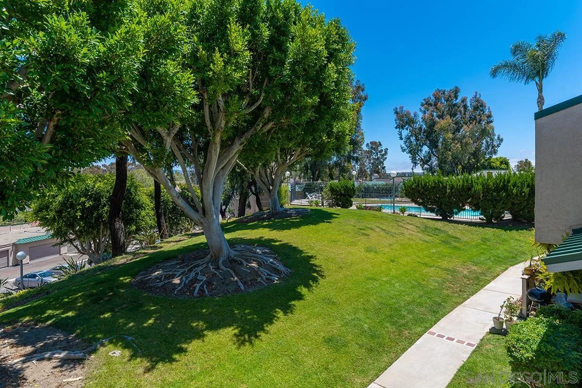 705 Copper Drive Vista, CA 92083 - Photo 26 of 31 a view of a garden with a tree