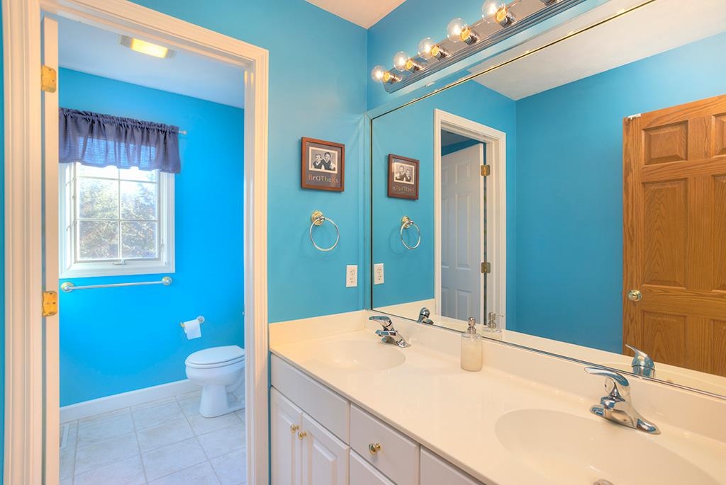 966 Spring Ridge Court Belvidere, IL 61008 - Photo 26 of 44 a bathroom with a sink and a mirror