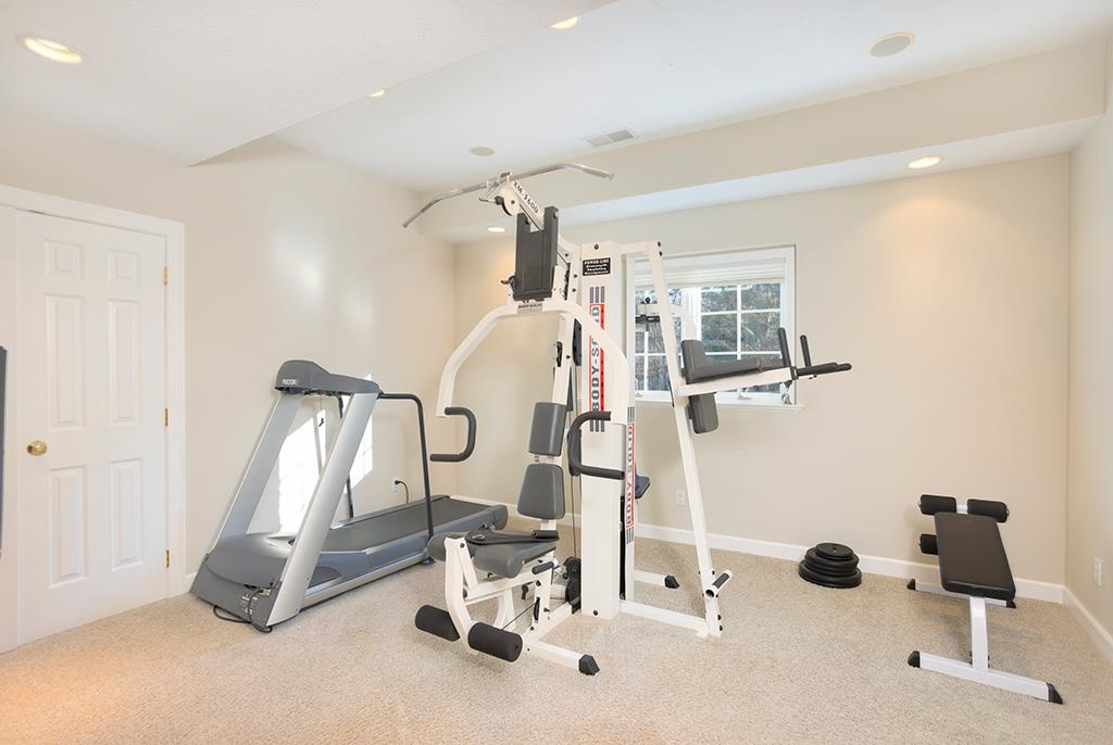 966 Spring Ridge Court Belvidere, IL 61008 - Photo 36 of 44 a view of a room with gym equipment