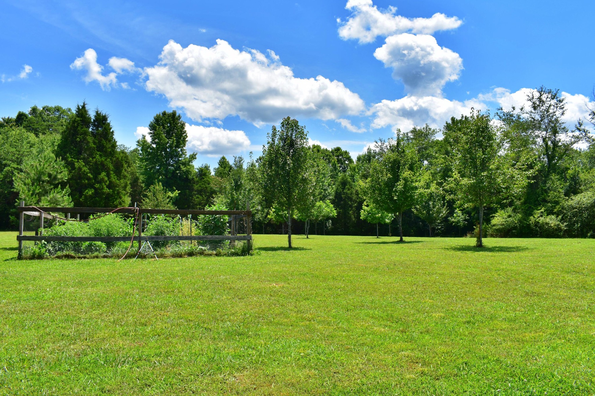 5858 Wolf Creek Road Spring City, TN 37381 - Photo 37 of 76