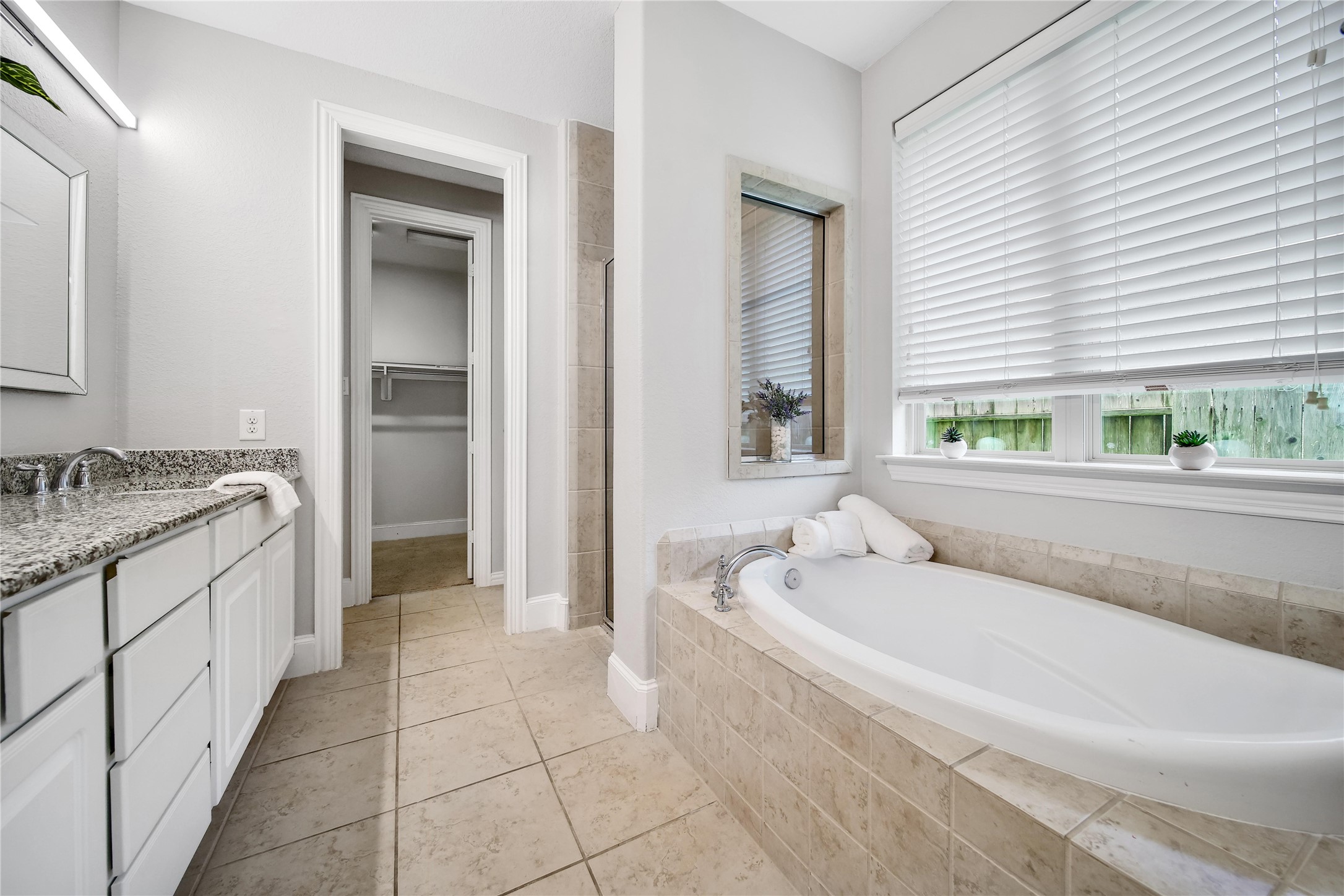 3910 Lupin Bush Lane Manvel, TX 77578 - Photo 15 of 39 soaking tub and walk in shower in the primary bathroom