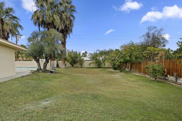 a view of a trees with a big yard