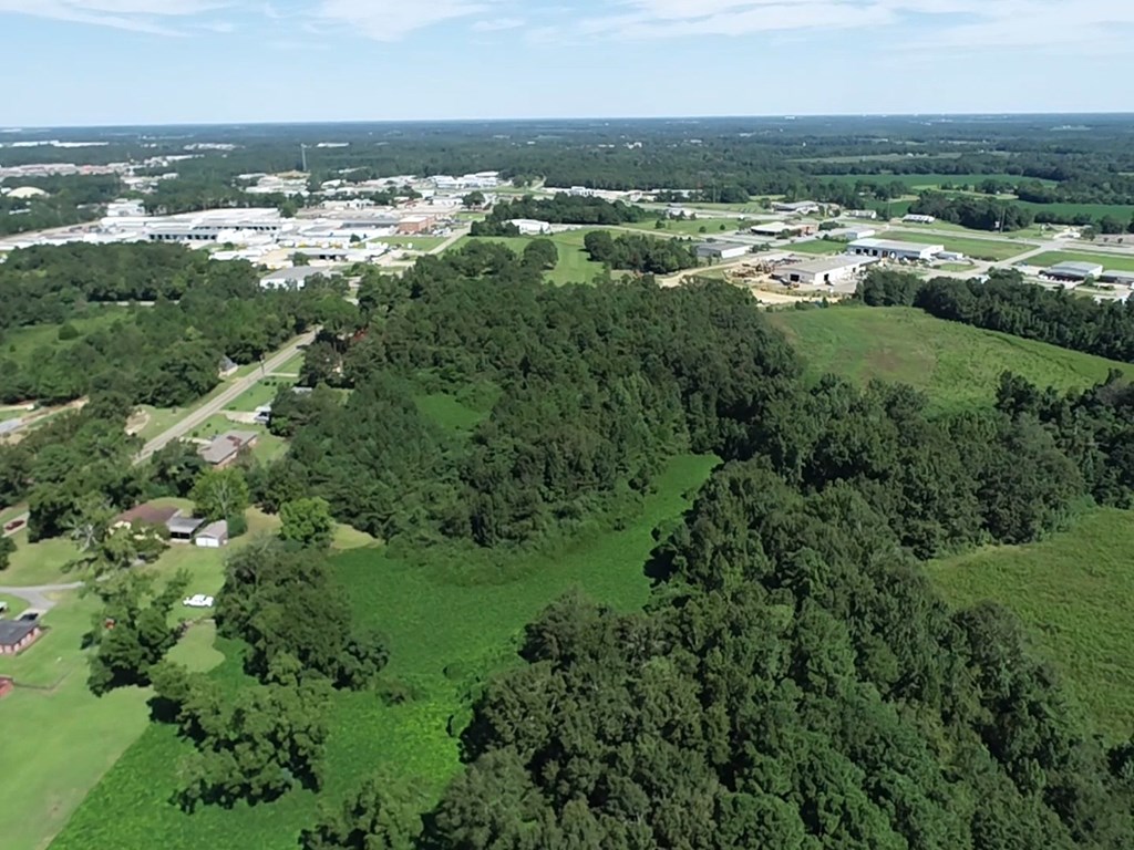 12.752-ac 12.752-ac Kinsey Rd/ Keel Road Dothan, AL 36301 - Photo 22 of 22