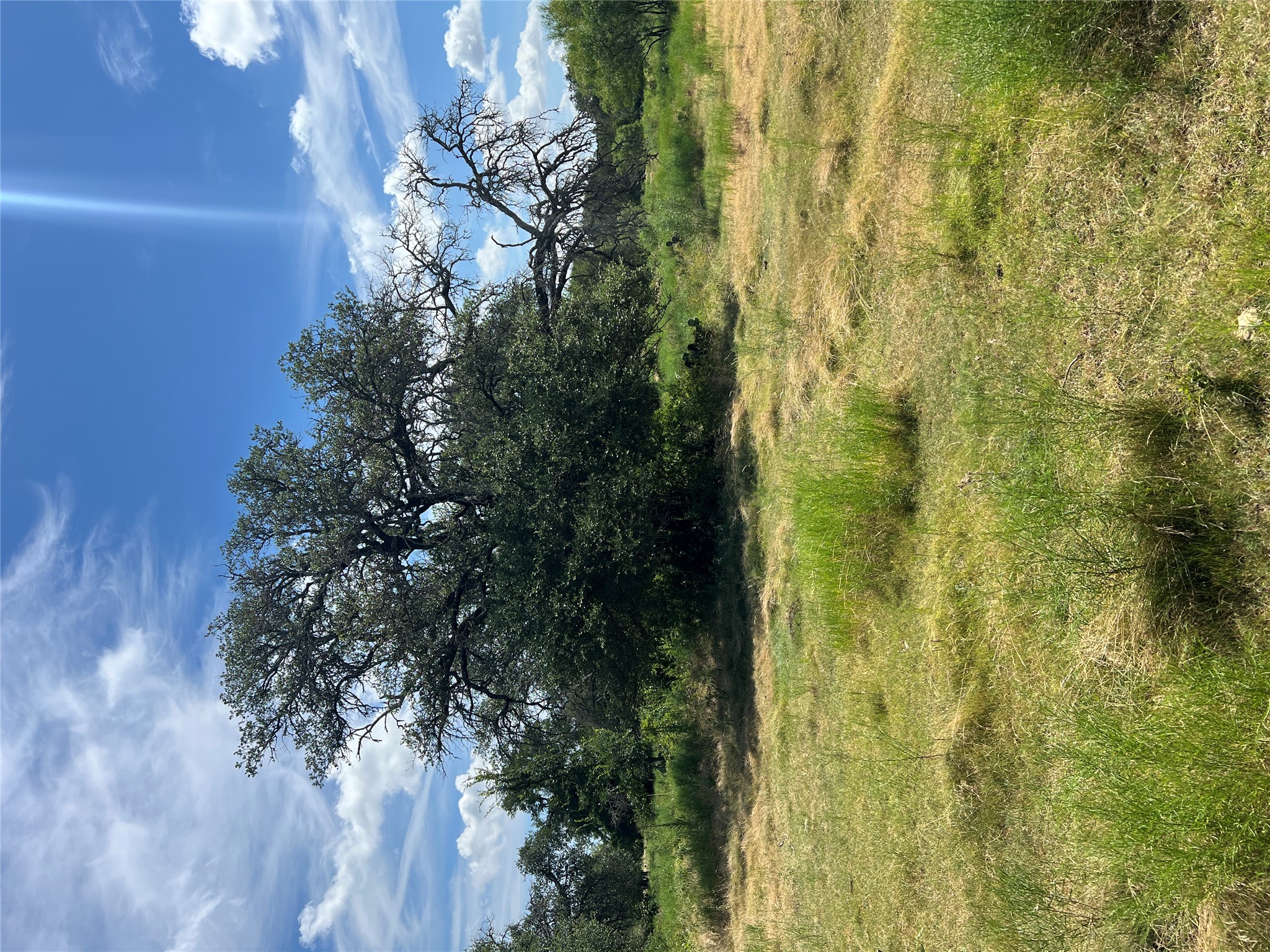 200/ Shady Grove Road Bertram, TX 78605 - Photo 6 of 17 Mature trees and native grasses blanket this generous, ready-to-build-on plot.