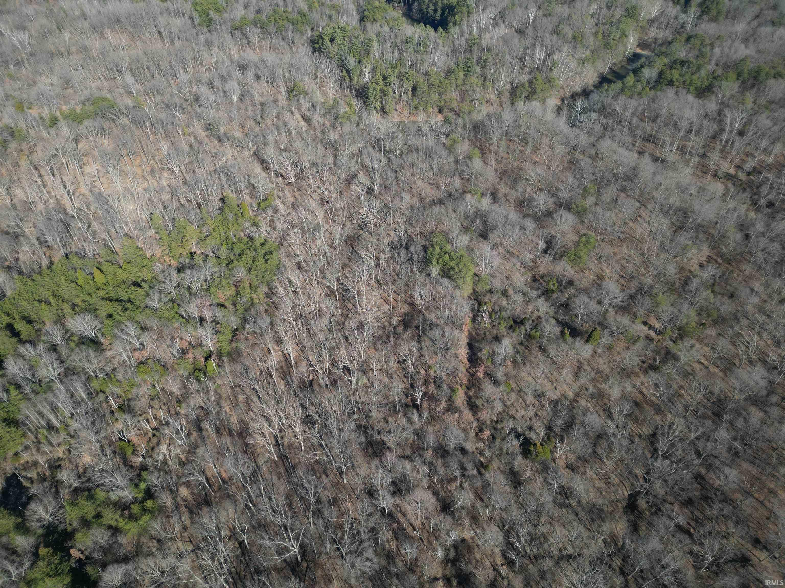 257 Road Stendal In 47585 Stendal, IN 47585 - Photo 12 of 21