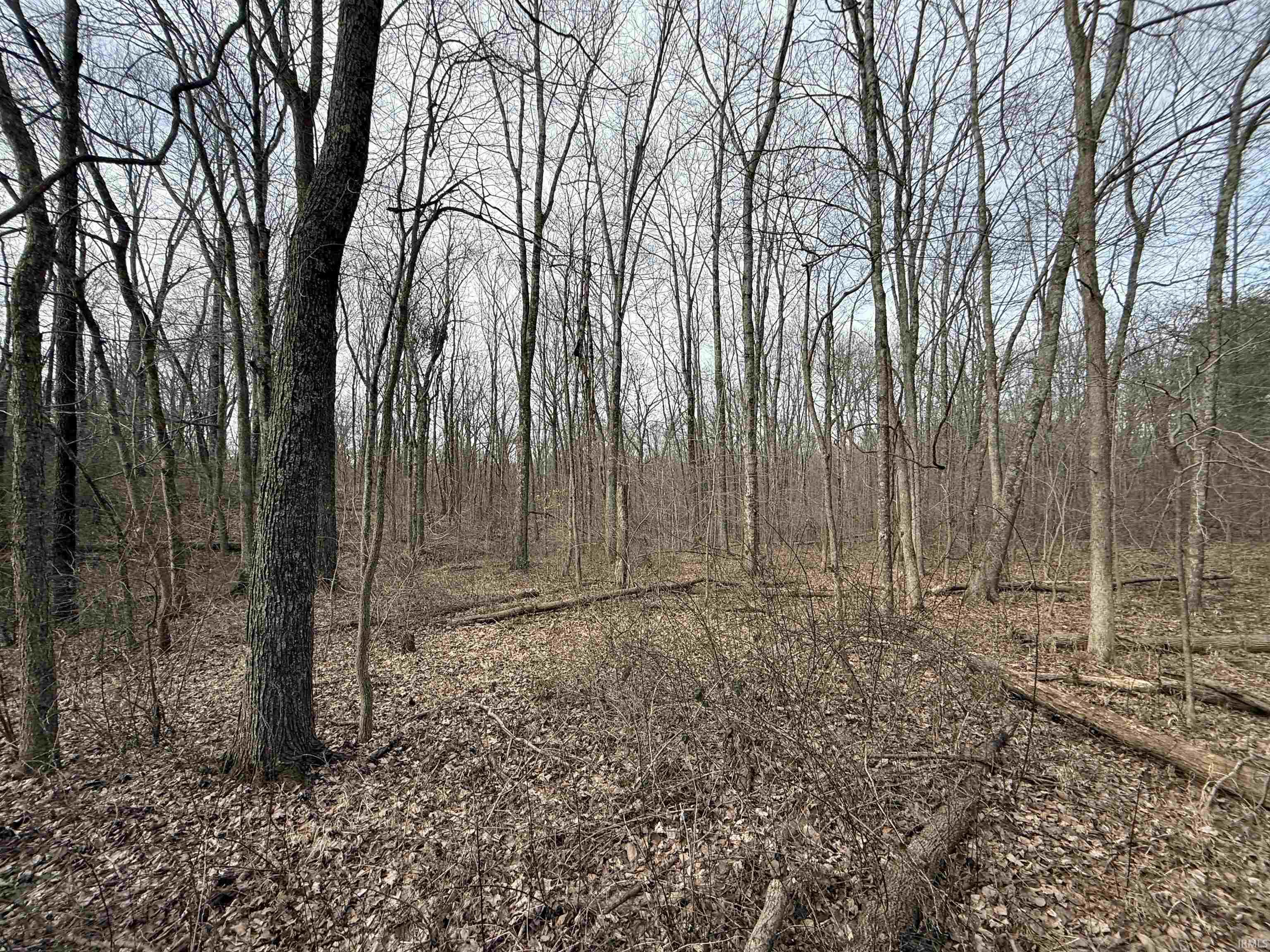 257 Road Stendal In 47585 Stendal, IN 47585 - Photo 18 of 21