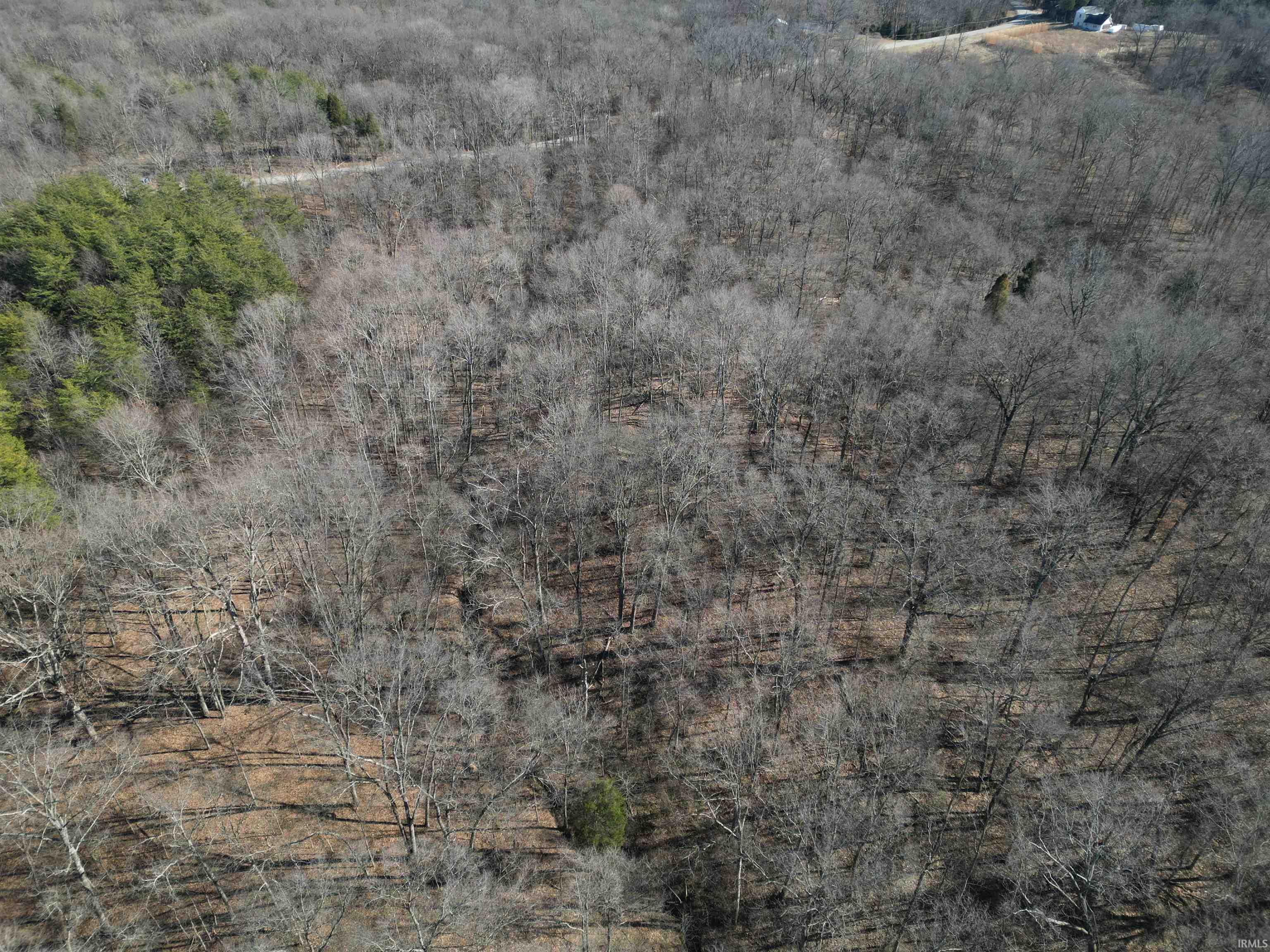 257 Road Stendal In 47585 Stendal, IN 47585 - Photo 9 of 21