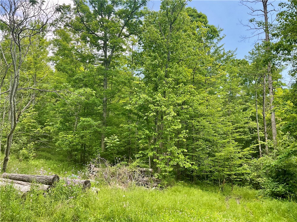 118 Snowburg Road Southport, NY 14871 - Photo 36 of 50