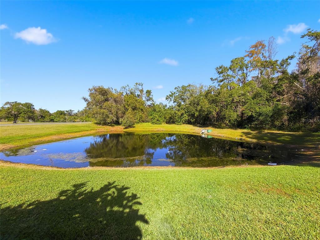 23015 Mayfair Road Land O' Lakes, FL 34639 - Photo 32 of 35