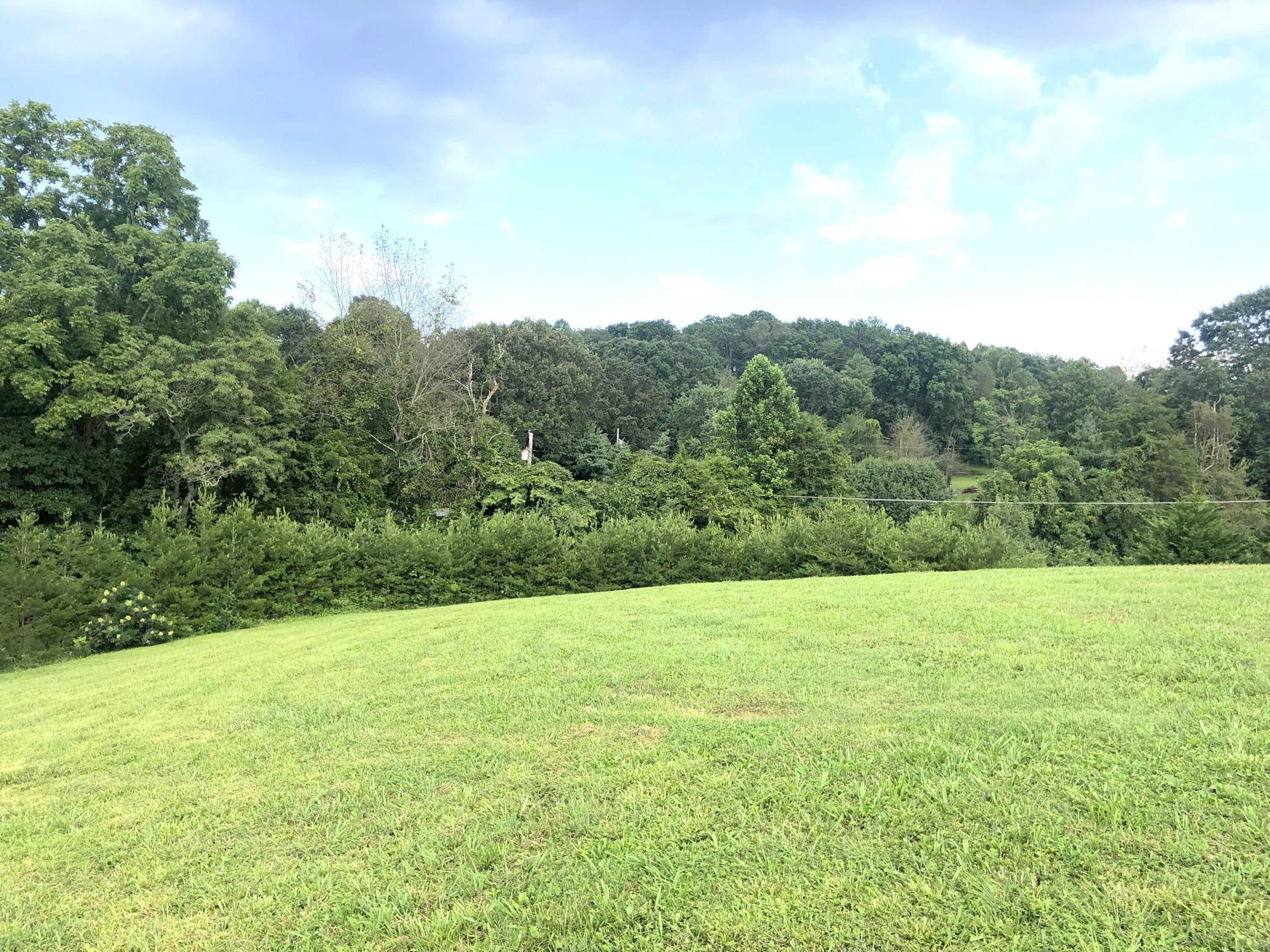 192 River Road Jacksboro, TN 37757 - Photo 3 of 39 yard