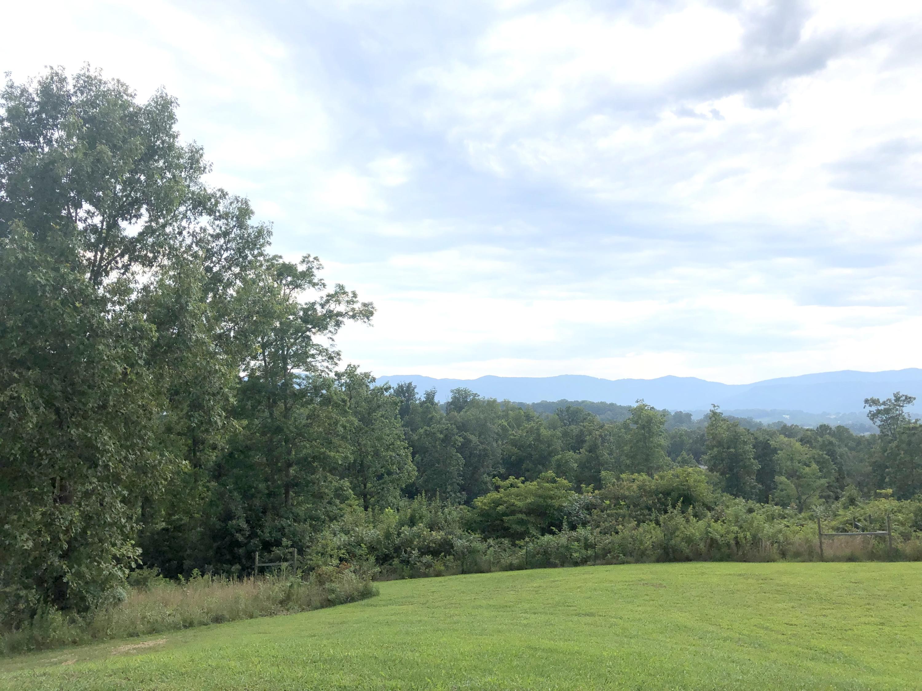 192 River Road Jacksboro, TN 37757 - Photo 4 of 39 over 15 acres