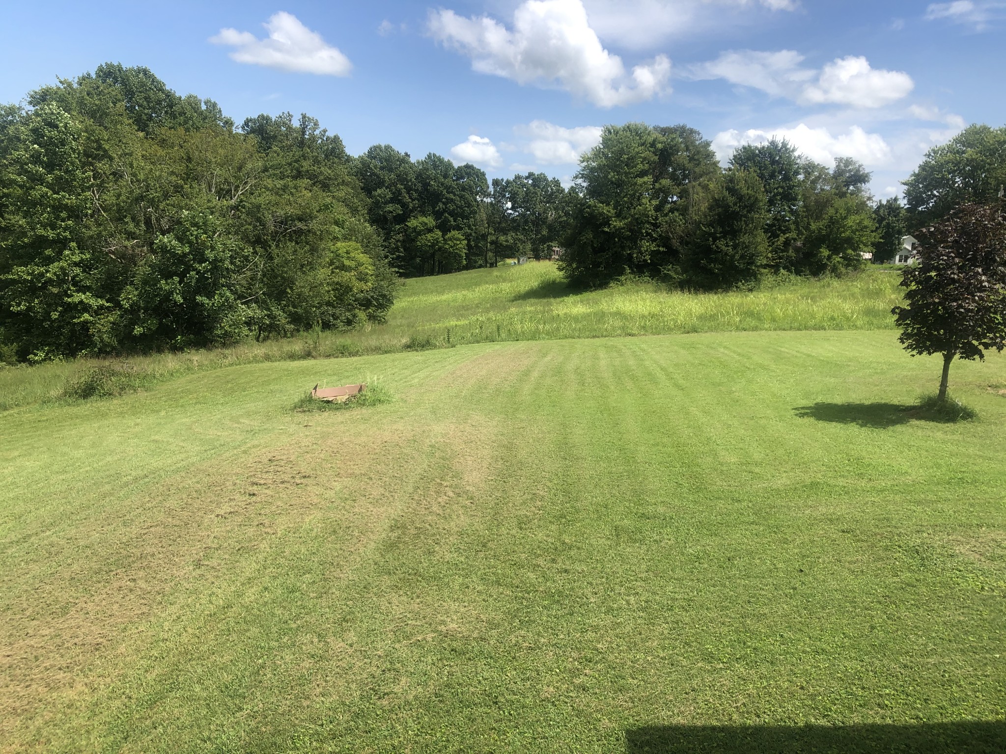 8063 Galen Road Lafayette, TN 37083 - Photo 6 of 18 a view of a field with an trees in the background