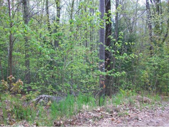 Dundee Road Intervale, NH 03845 - Photo 1 of 1